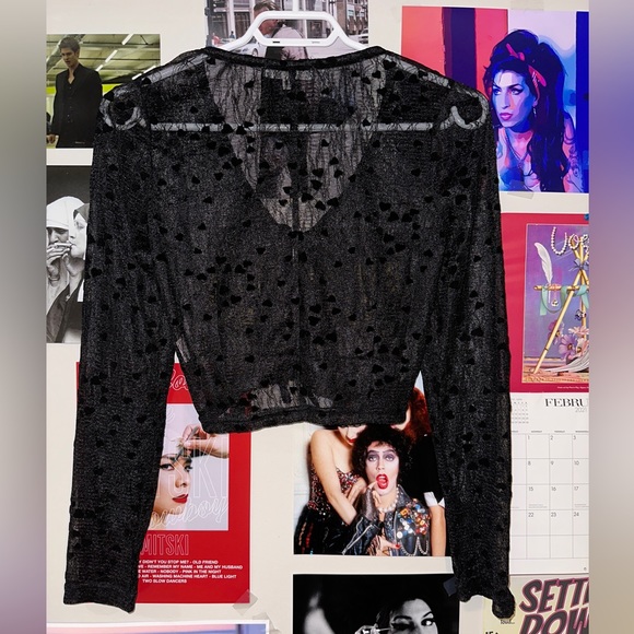 Mesh Heart Longsleeve Cropped Bustier Top - Picture 3 of 4